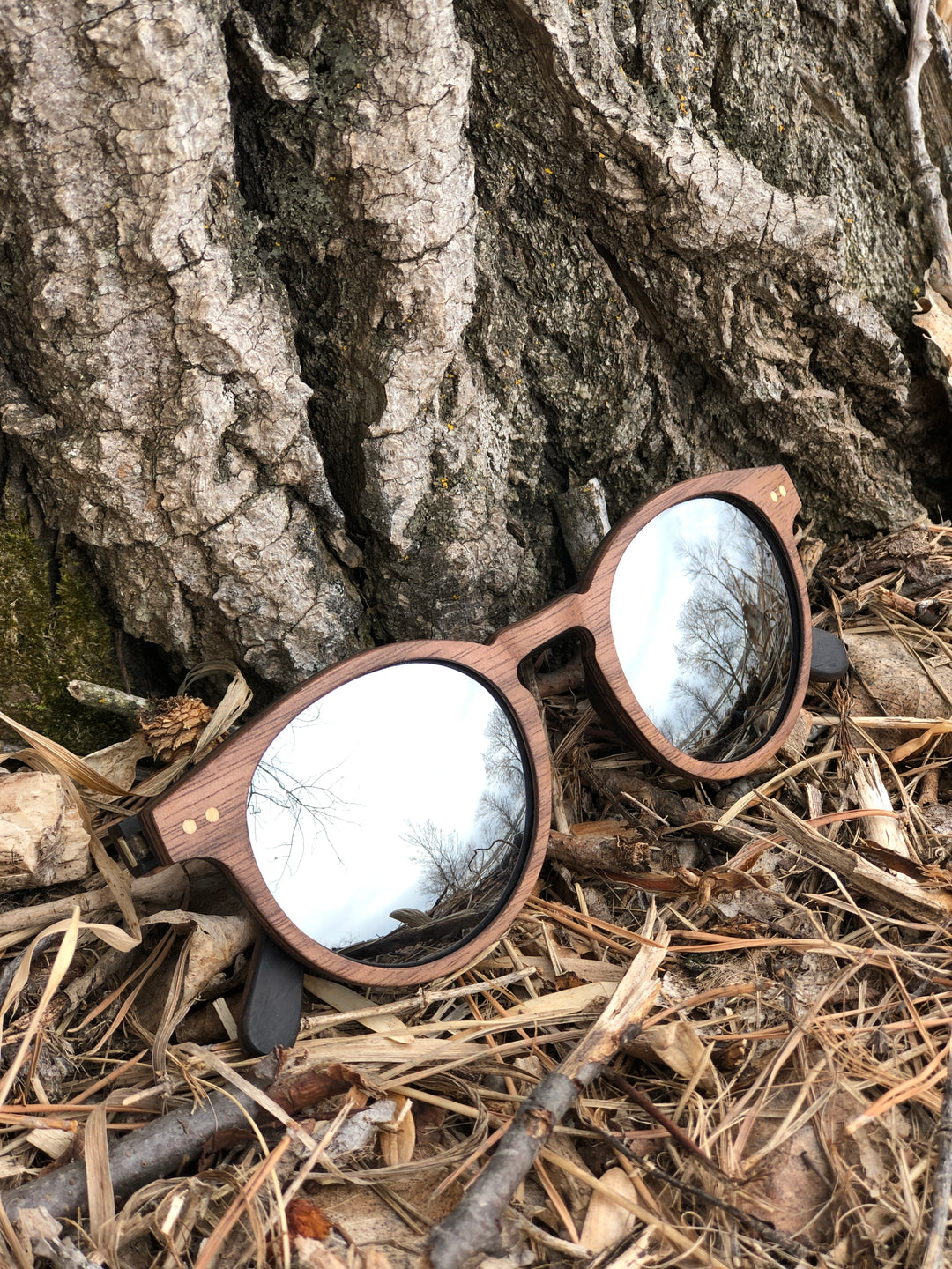 mirrored lenses sunglasses resting against tree in the woods.