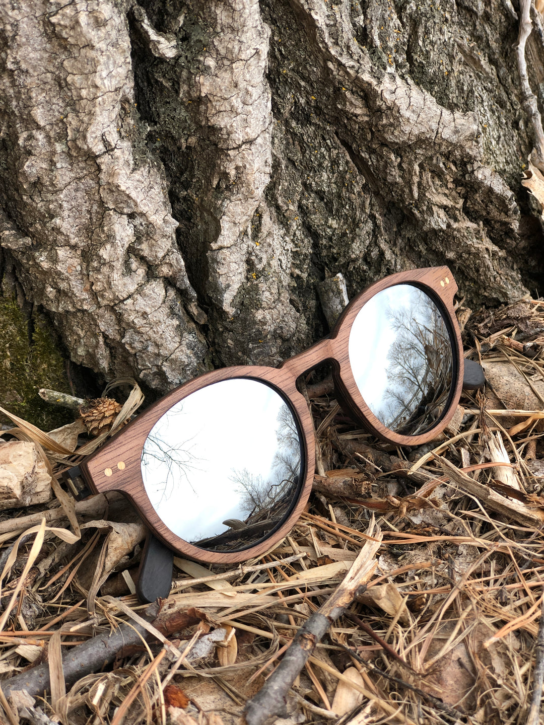 mirrored lenses sunglasses resting against tree in the woods. 