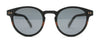 Albany Wooden Sunglasses - Silver Lenses
