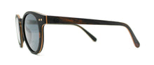  Albany Wood Sun Glasses - Sandalwood